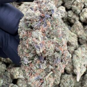 Strawberry Guavaz - Exotic Flowers