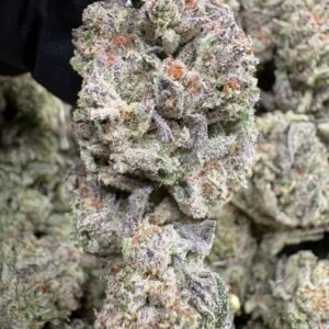 Glitter Bomb - Exotic Flowers
