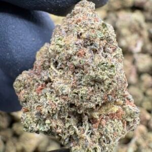 Gorilla Butter lows - Exotic Flowers