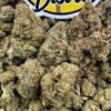 Toxic Lemon lows - Exotic Flowers
