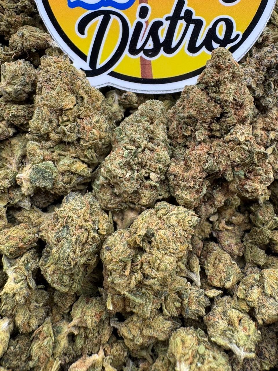 Toxic Lemon lows - Exotic Flowers Toxic Lemon lows - Exotic Flowers