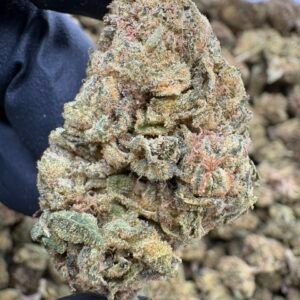 Toxic Lemon lows - Exotic Flowers