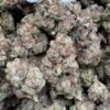 Cherry Zlushie - Exotic Flowers