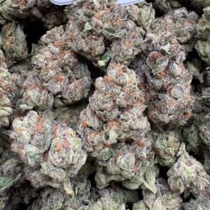 Cherry Zlushie - Exotic Flowers