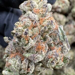 Cherry Zlushie - Exotic Flowers