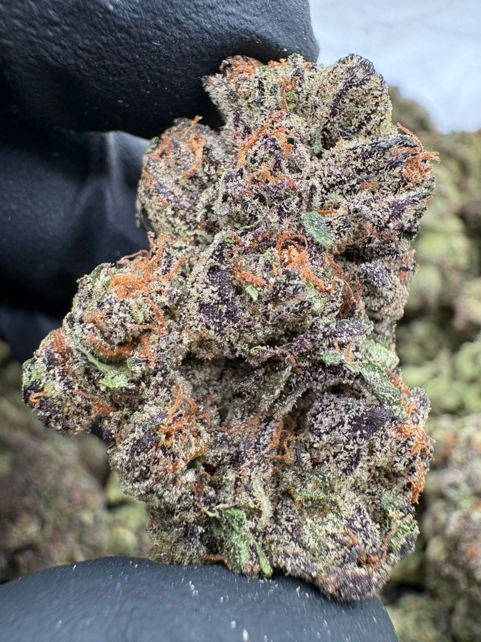 Z Runtz - Exotic Flowers Z Runtz - Exotic Flowers